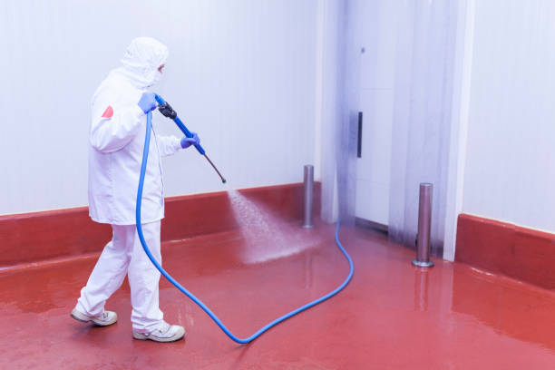 Best Pool Deck Cleaning  in Roslyn, PA